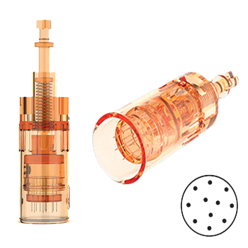 BEAUTY IN A BOX Device & Training - Image 6