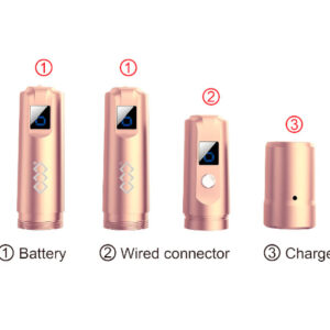 Microneedling Pen Essential Device Mobile Kit (MesoPower Pen)